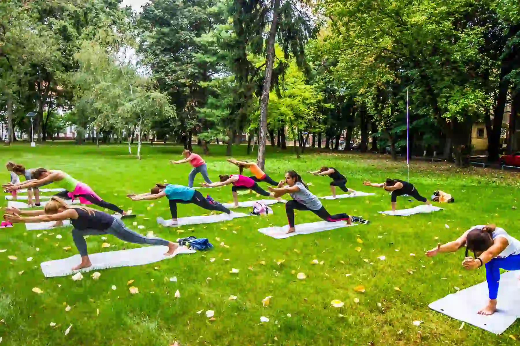 Corpo e mente in armonia