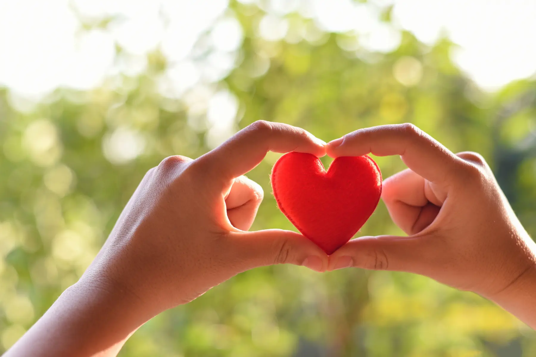 eventi e raccolta fondi